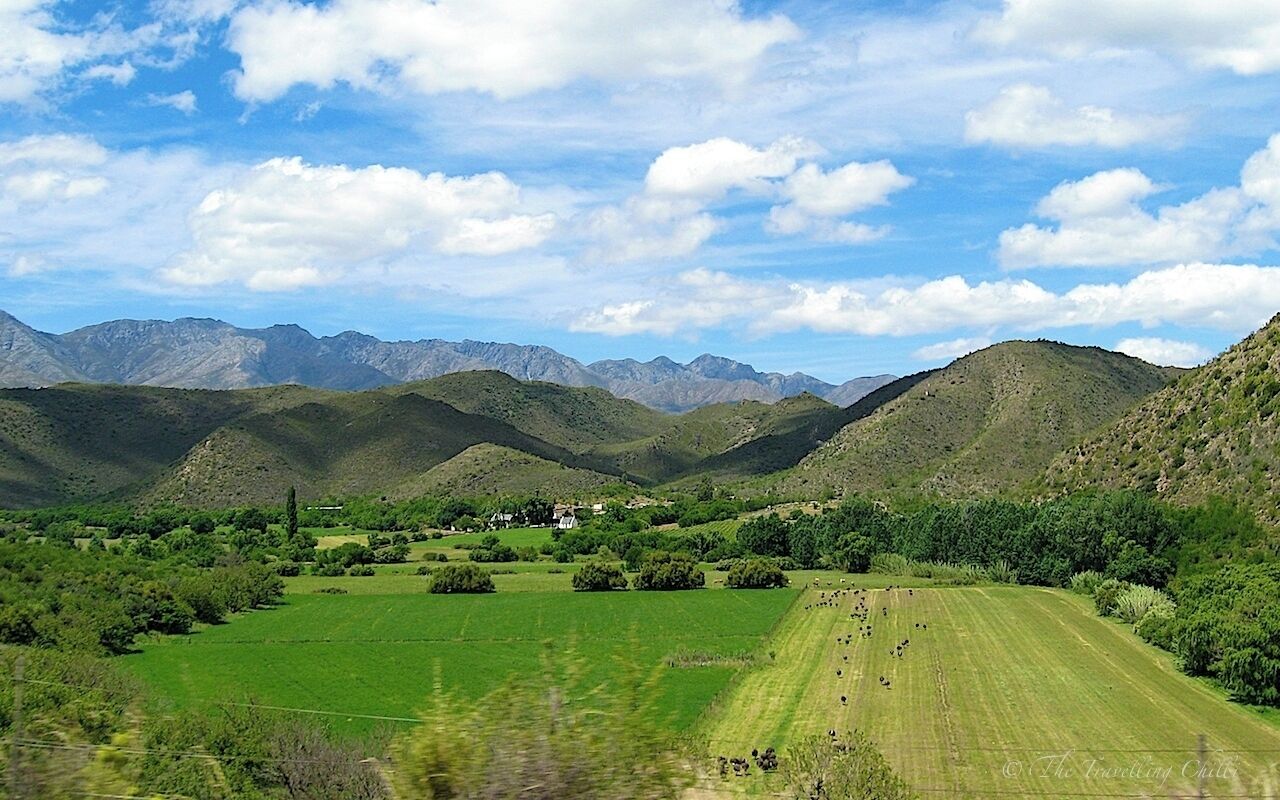 When driving from Oudtshoorn to the Cango Caves, which is about 30 km away in the mountain, you'll get a good view on the surrounding landscape. In the far distance one can see the Swartberg mountains (black mountains). The area is part of the Karoo, a stunning landscape and beautiful region in South Africa.