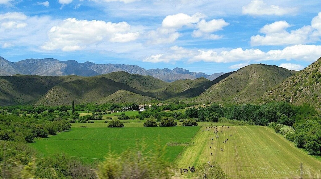 When driving from Oudtshoorn to the Cango Caves, which is about 30 km away in the mountain, you'll get a good view on the surrounding landscape. In the far distance one can see the Swartberg mountains (black mountains). The area is part of the Karoo, a stunning landscape and beautiful region in South Africa.