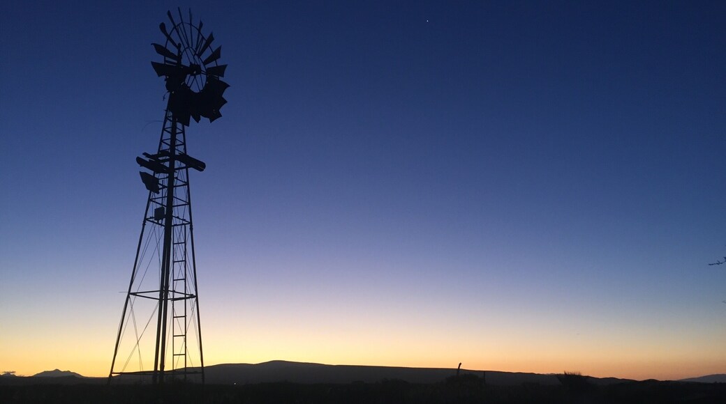 Wonderful guest farm in oudtshoorn