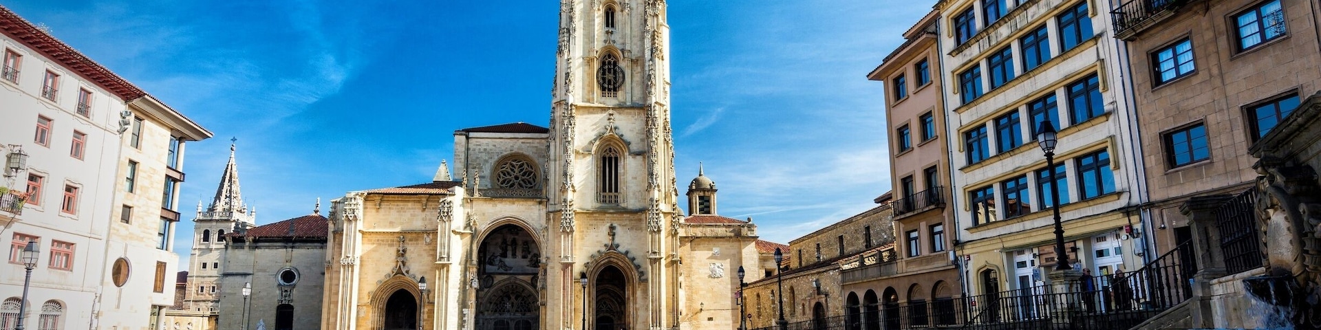 The Oviedo Cathedral, in Asturias, Spain, rises tall in the middle of the city. It displays an array of architectural styles, from Pre-Romanesque to Baroque. It is a beautiful sight if you are in the area.
#troveontuesday #culture