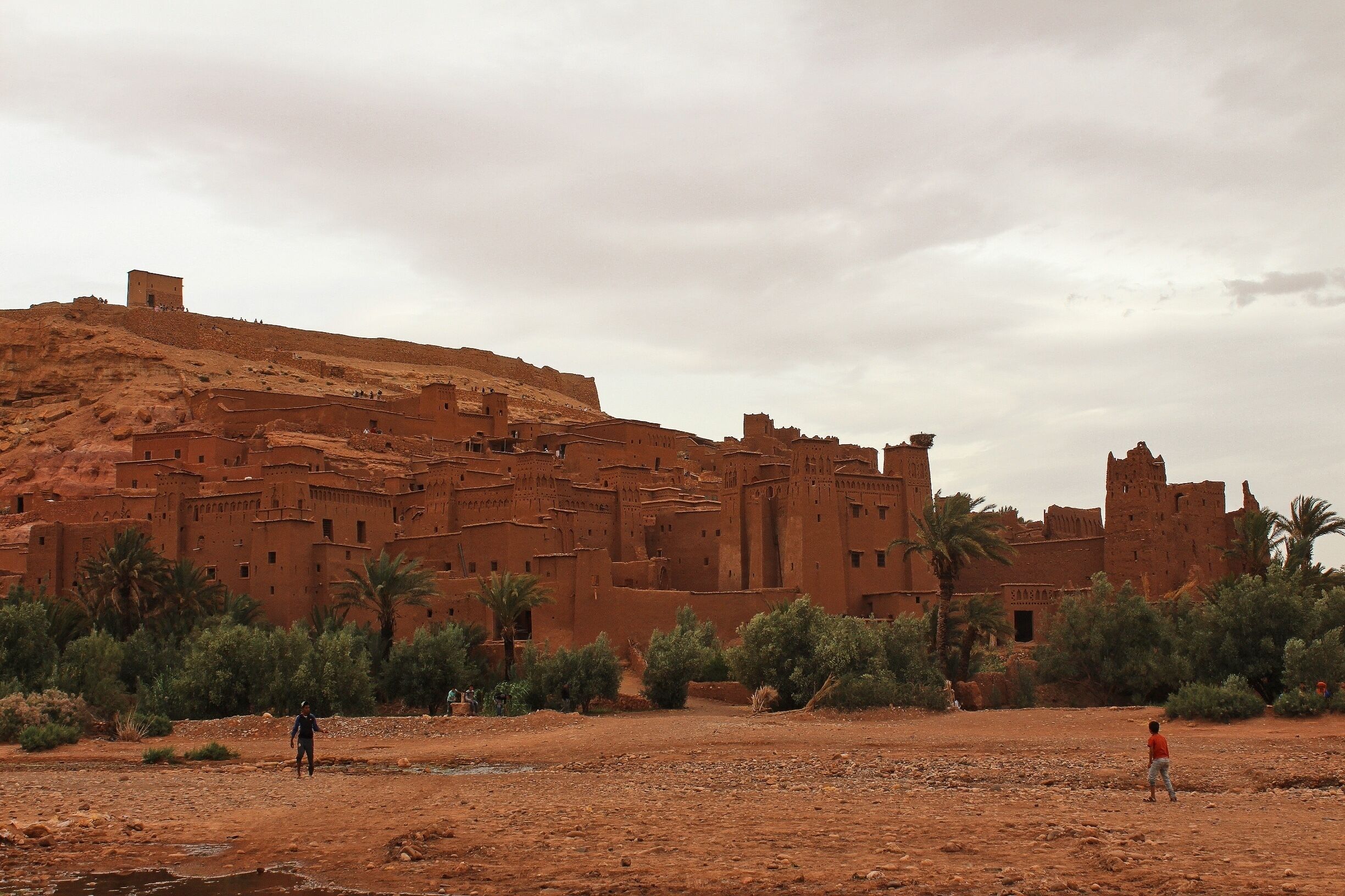 适合家庭的最佳住宿
