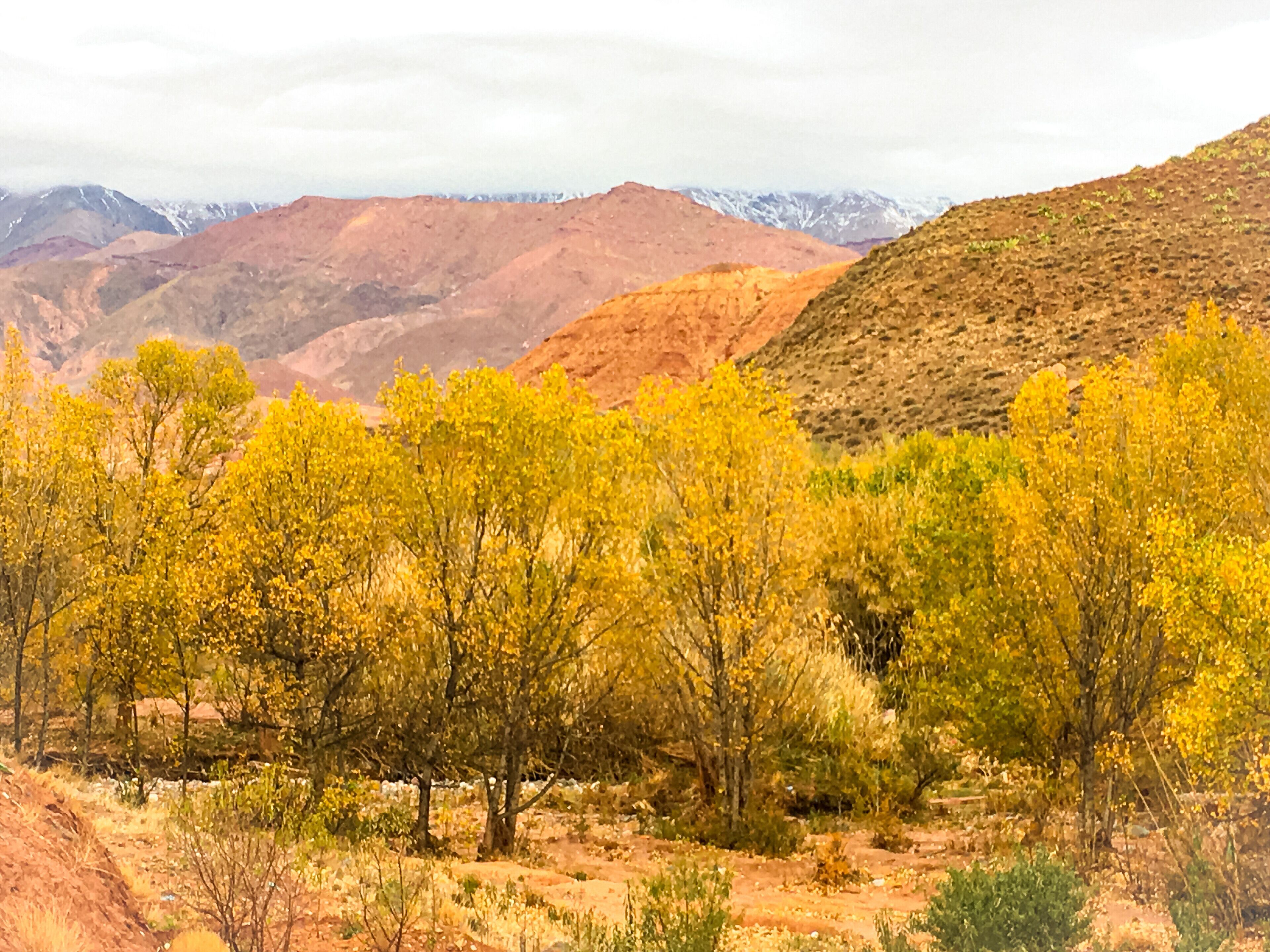 Ouarzazate Autumn , Morocco, 摩洛哥 #red #travel #nationalpark #landscape #nature #hiking #morocco #mountainscape