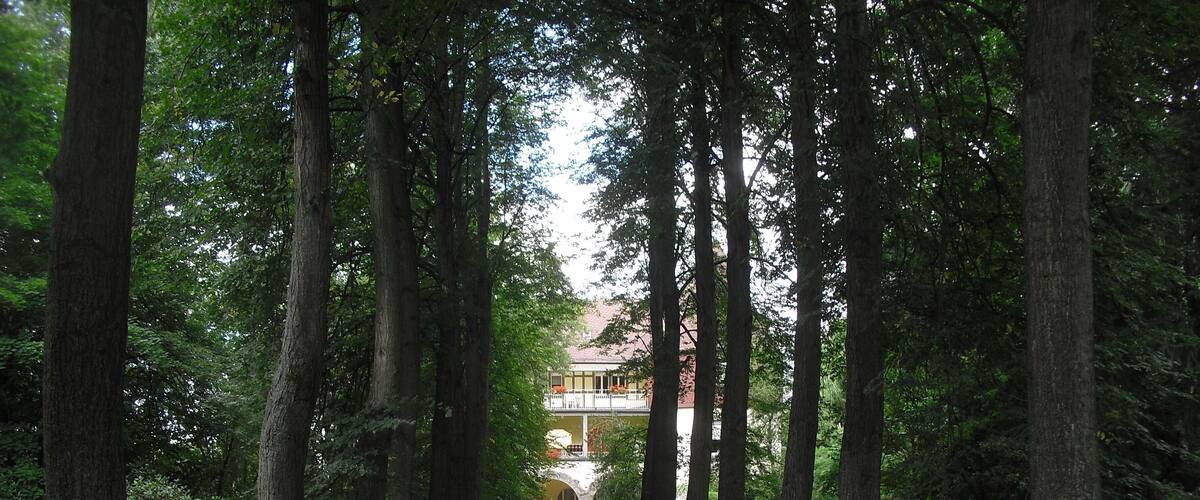 A tree-lined pathway leading to a building with a balcony.