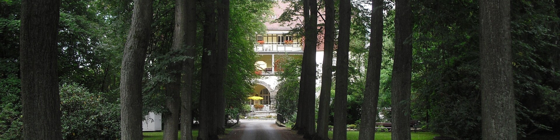 A tree-lined pathway leading to a building with a balcony.