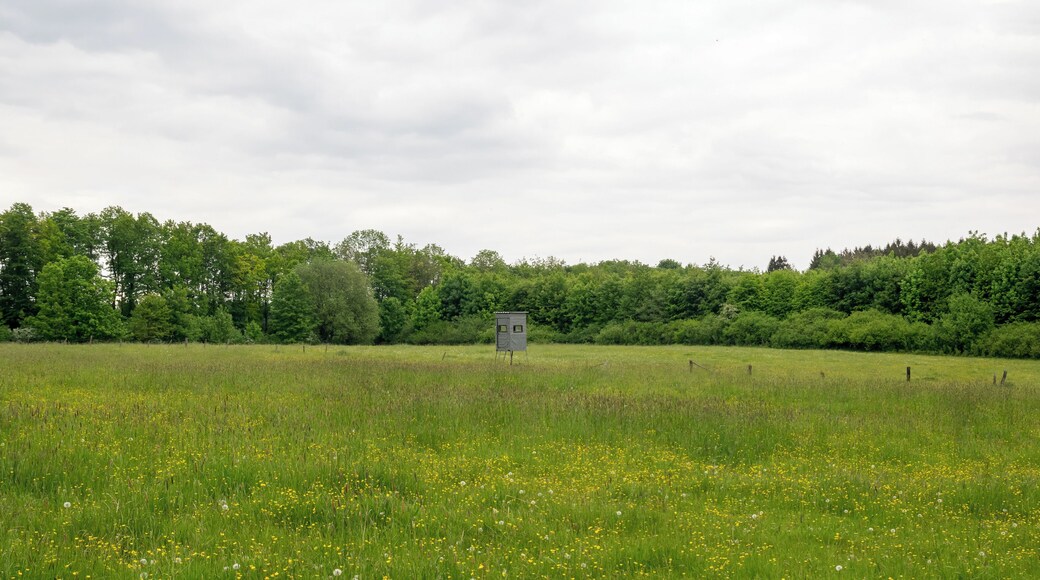 Landschaftsschutzgebiet FFH-Gebiet Egge in Paderborn-Neuenbeken, Kreis Paderborn