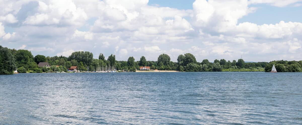 A lake with a row of houses and trees on the shore.
