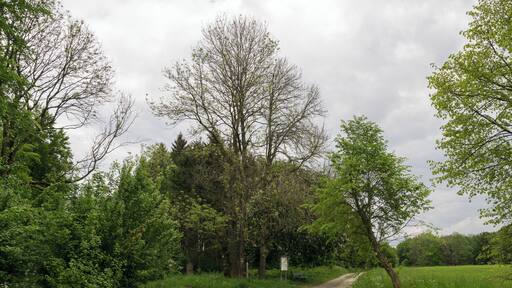 Landschaftsschutzgebiet FFH-Gebiet Egge in Paderborn-Neuenbeken, Kreis Paderborn