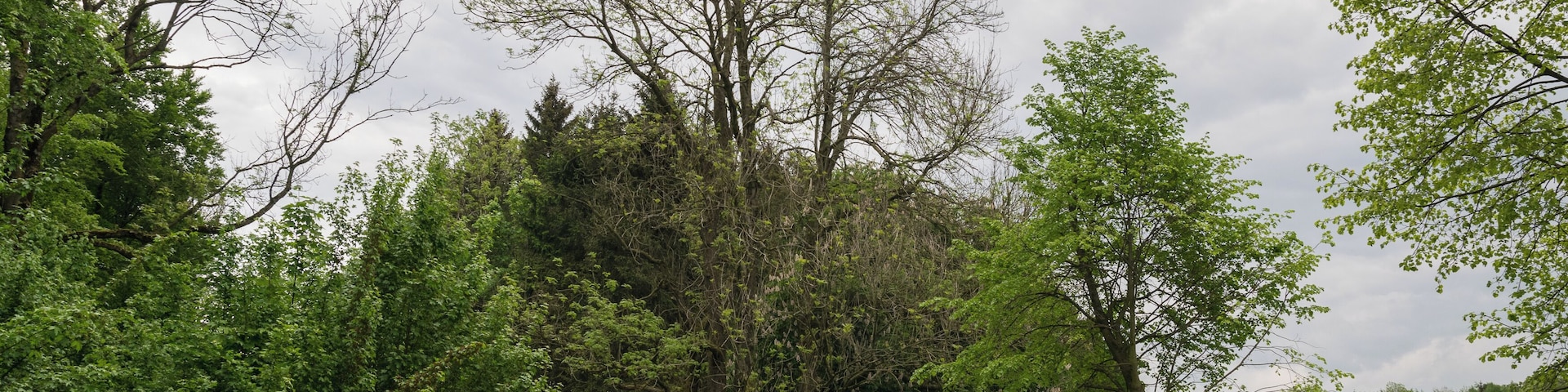 Landschaftsschutzgebiet FFH-Gebiet Egge in Paderborn-Neuenbeken, Kreis Paderborn