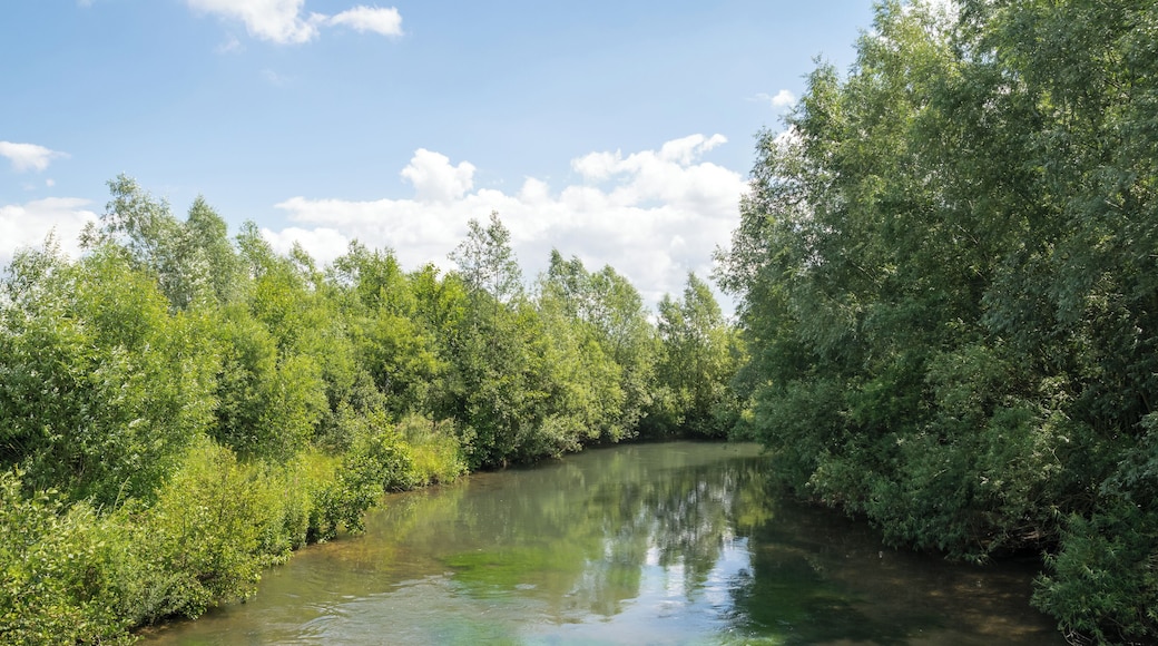 Naturschutzgebiet Lippe bei Sande, Paderborn