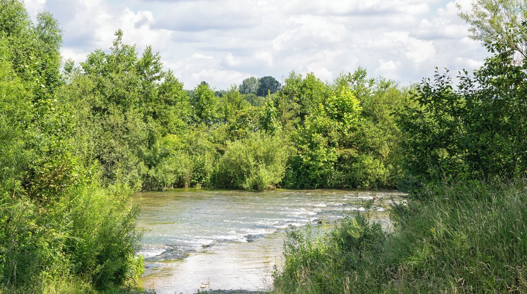 Naturschutzgebiet Lippe bei Sande, Paderborn
