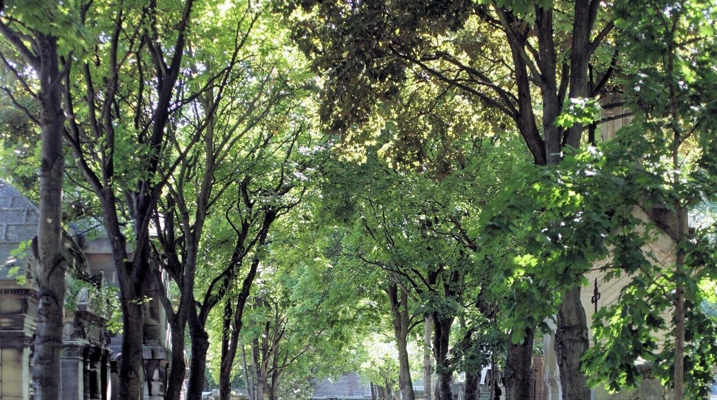 Montmartre is best know for La Basilique du Sacré Coeur and perhaps the Folies BergÚre, but there is also an interesting cemetery worth visiting - Montmartre Cemetery.