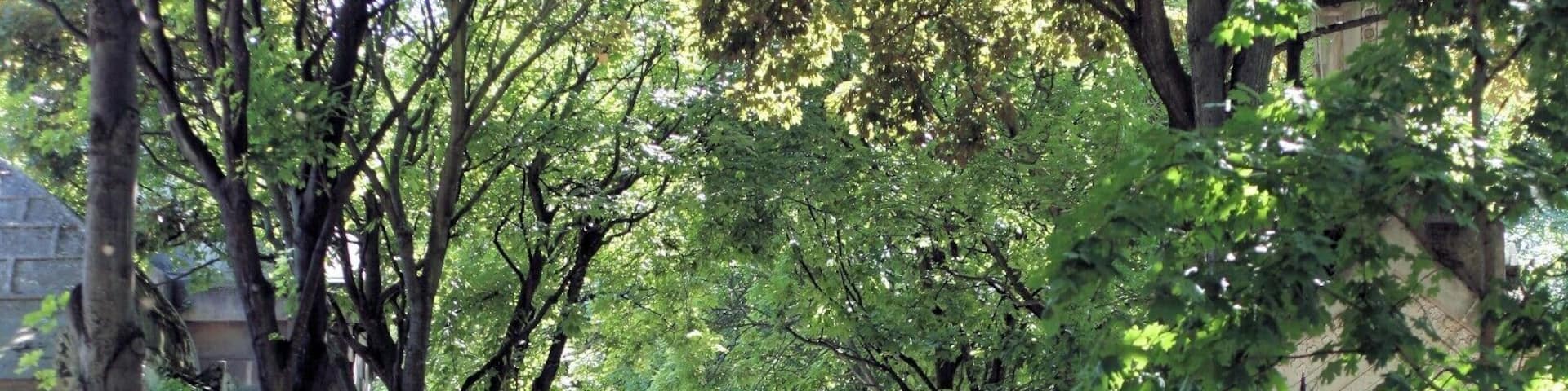 Montmartre is best know for La Basilique du Sacré Coeur and perhaps the Folies Bergère, but there is also an interesting cemetery worth visiting - Montmartre Cemetery.