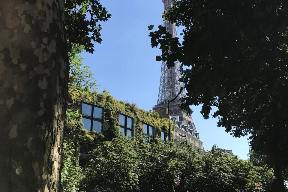 A tree-lined street with a view of a tall tower in the distance.