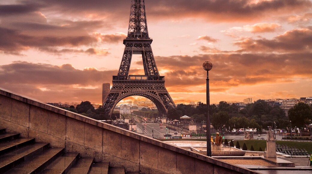 Glory morning in Paris.