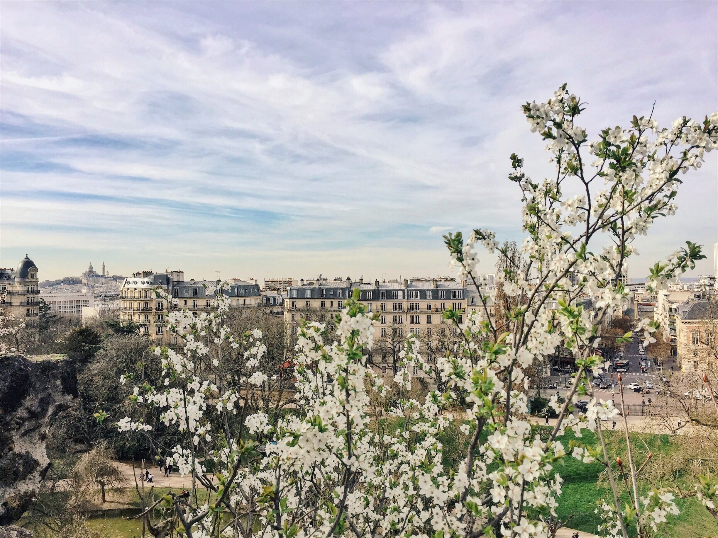 Lovely view of the city and the Sacre Cœur on the far left. Beautiful Paris in the spring! 💜

#france #paris #travel #touristdestinations #vsco #vscocam #vscogrid #vscodaily #europe #vscomoment #iphonephotography #mytinyatlas #topfrancephoto #beautiful #earthpix #beautifuldestinations #parisjetaime #travel_awesome #discovery #jaimelafrance #merveillesdefrance #topparisphoto #jardin #garden #unlimitedparis #unlimitedfrance #parismonamour #gardens #flowers