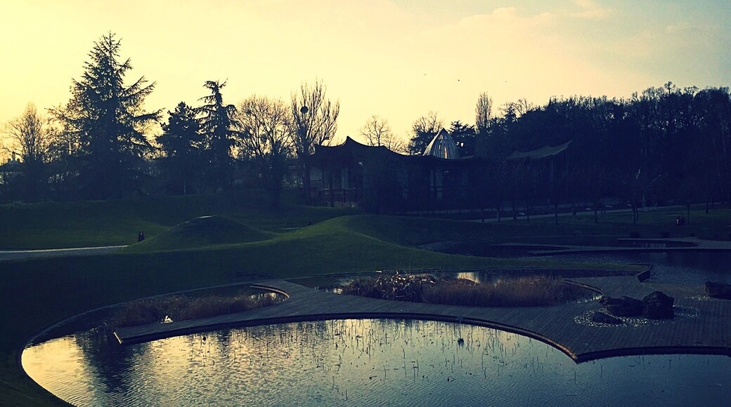 Beautiful evening in one of the most famous parks in the Paris area (Vincennes - France)
March 2016 - Iphone 6
#Vincennes #France #Park #Europe