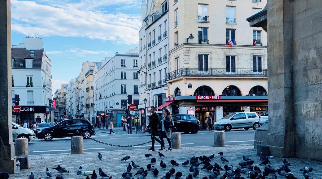You can see so many pigeons on the street in Paris. It makes the city so lovely.