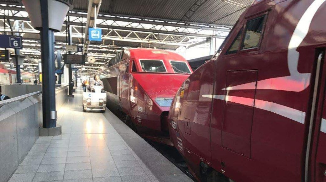 Paris is the city of #love bcoz even the trains in Paris kiss each other!!!
The #Thalys luxurious and comfortable train is also in love! #Red! ❤