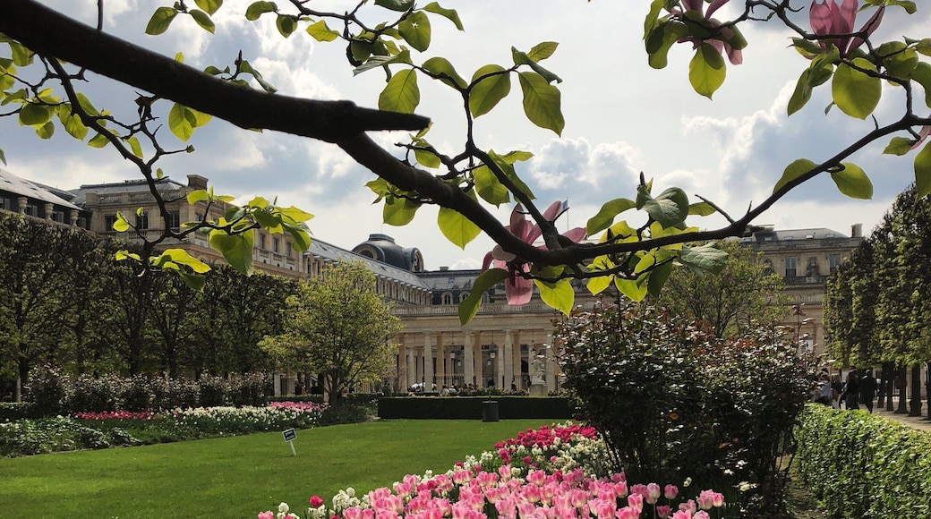 Pink Garden (Paris - France)
#paris #france #europe
April 2019 - iPhone 8