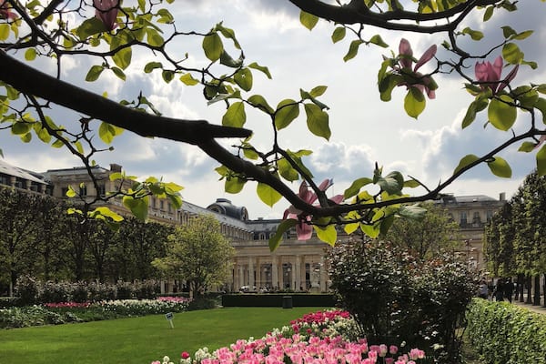 Pink Garden (Paris - France)
#paris #france #europe
April 2019 - iPhone 8