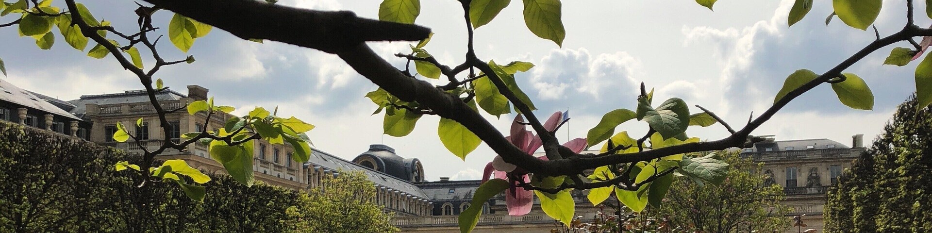 Pink Garden (Paris - France)
#paris #france #europe
April 2019 - iPhone 8
