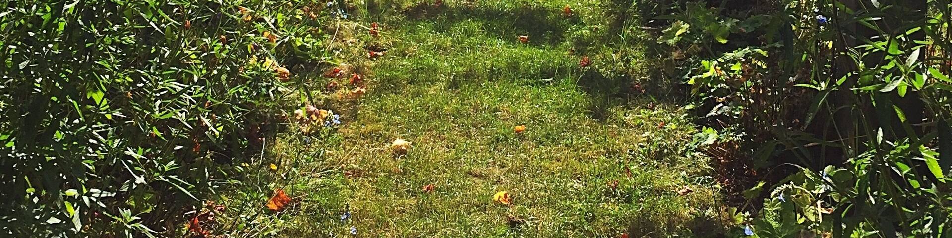 Parc de Bercy (Paris - France)
August 2016 - Iphone 6
#Park #Paris #France #Europe