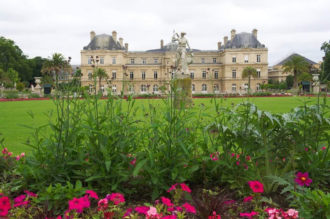 Lovely place to take a break from a bussy city like Paris. Lots of chairs where you can sit down read a book. We bought some Chocolate croissants in a bakery near by and ate them there. But be warned you make a lot of birdy friends. 