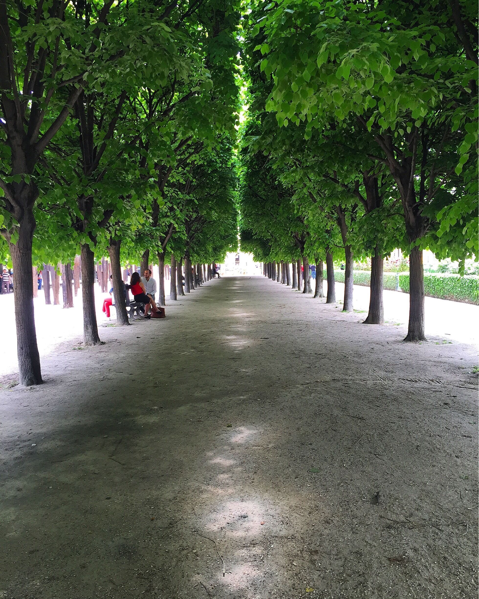 strolling through the gardens of the Palais Royal on a beautiful afternoon.