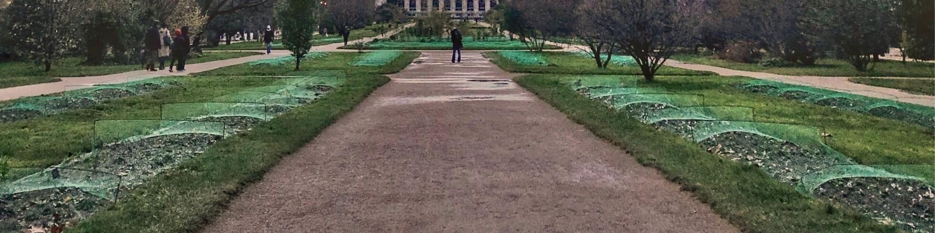 The Jardin des plantes, also known as the jardin des plantes de Paris when distinguished from other jardins des plantes in other cities, is the main botanical garden in France.
.
It was designed and planted by Guy de La Brosse, the physician of the king in 1626 as a medicinal herb garden for King Louis XIII.
.
Paris’ 24-hectare botanic gardens – visually defined by the double alley of plane trees that run the length of the park – are an idyllic spot to stroll around, break for a picnic (watch out for the automatic sprinklers!) and escape the city concrete for a spell. Upping its appeal are three museums from the Muséum National d'Histoire Naturelle and a small zoo.
#jardindesplantes #paris #botanicalgardens #gardens #outdoors
