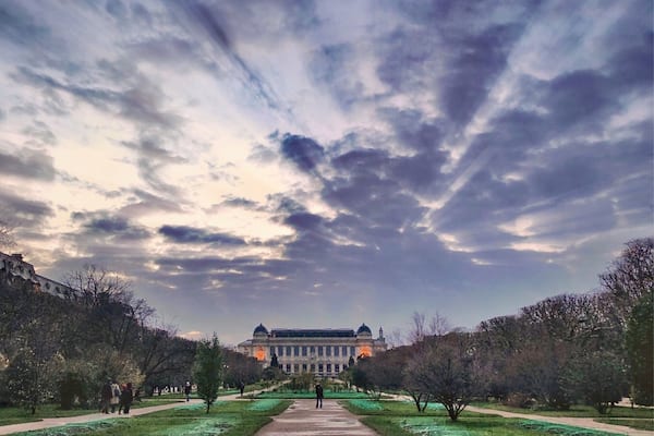 The Jardin des plantes, also known as the jardin des plantes de Paris when distinguished from other jardins des plantes in other cities, is the main botanical garden in France.
.
It was designed and planted by Guy de La Brosse, the physician of the king in 1626 as a medicinal herb garden for King Louis XIII.
.
Paris’ 24-hectare botanic gardens – visually defined by the double alley of plane trees that run the length of the park – are an idyllic spot to stroll around, break for a picnic (watch out for the automatic sprinklers!) and escape the city concrete for a spell. Upping its appeal are three museums from the Muséum National d'Histoire Naturelle and a small zoo.
#jardindesplantes #paris #botanicalgardens #gardens #outdoors