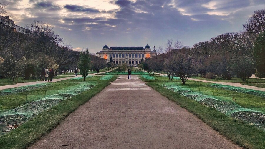 The Jardin des plantes, also known as the jardin des plantes de Paris when distinguished from other jardins des plantes in other cities, is the main botanical garden in France.
.
It was designed and planted by Guy de La Brosse, the physician of the king in 1626 as a medicinal herb garden for King Louis XIII.
.
Paris’ 24-hectare botanic gardens – visually defined by the double alley of plane trees that run the length of the park – are an idyllic spot to stroll around, break for a picnic