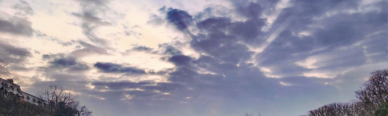 The Jardin des plantes, also known as the jardin des plantes de Paris when distinguished from other jardins des plantes in other cities, is the main botanical garden in France.
.
It was designed and planted by Guy de La Brosse, the physician of the king in 1626 as a medicinal herb garden for King Louis XIII.
.
Paris’ 24-hectare botanic gardens – visually defined by the double alley of plane trees that run the length of the park – are an idyllic spot to stroll around, break for a picnic (watch out for the automatic sprinklers!) and escape the city concrete for a spell. Upping its appeal are three museums from the Muséum National d'Histoire Naturelle and a small zoo.
#jardindesplantes #paris #botanicalgardens #gardens #outdoors