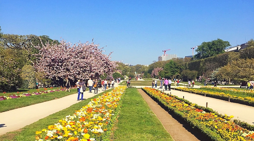 A beautiful day in the Jardin des Plantes (Paris - France)
#Garden #Green #Paris #France #Europe #SpringFun
April 2017 - Iphone 6