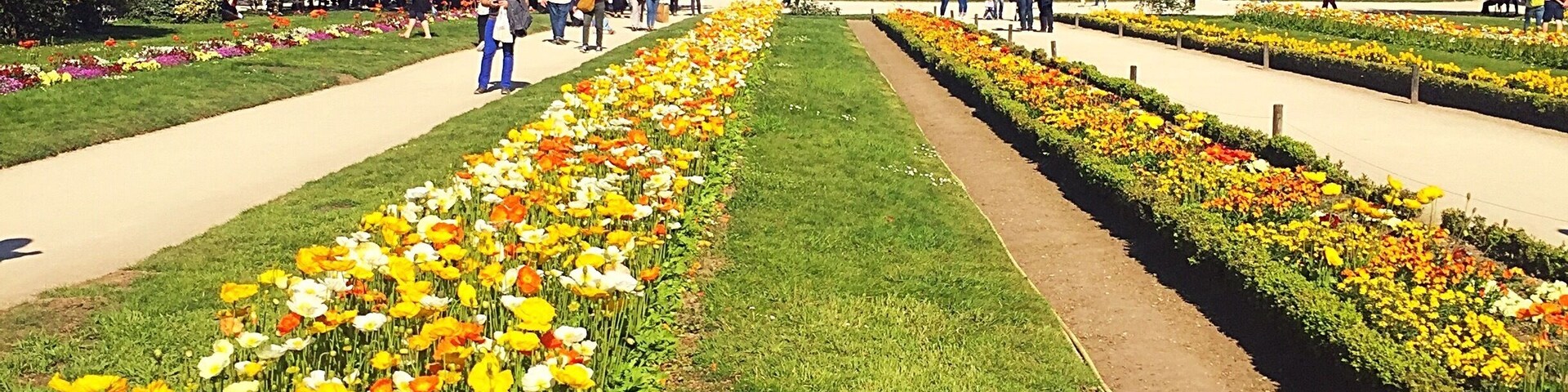 A beautiful day in the Jardin des Plantes (Paris - France)
#Garden #Green #Paris #France #Europe #SpringFun
April 2017 - Iphone 6