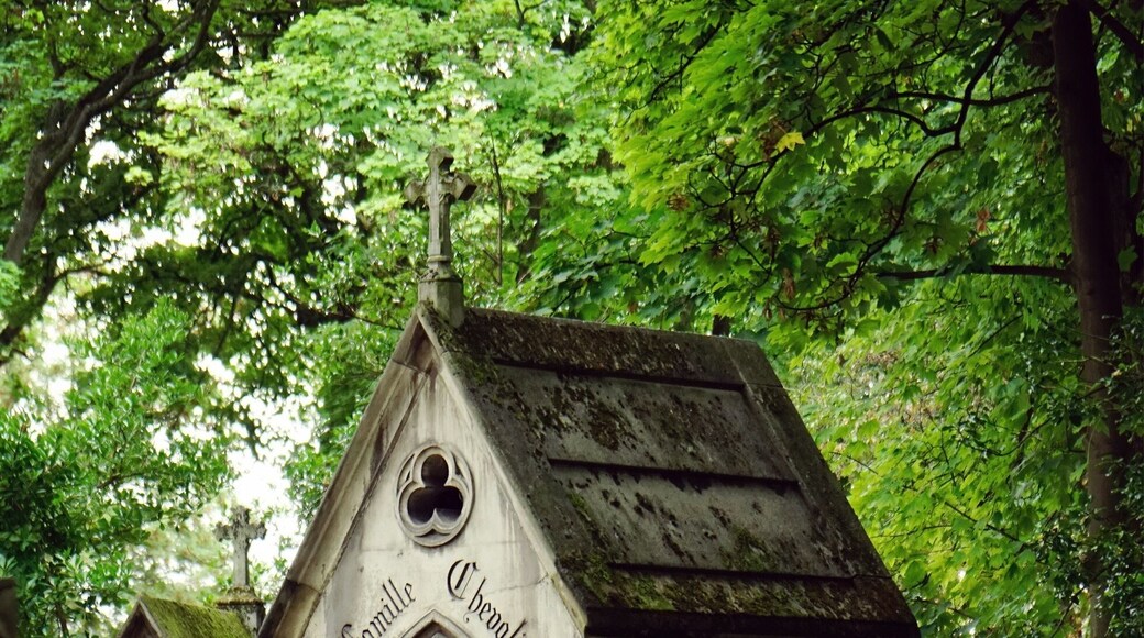 Some people might think it a bit strange to visit cemeteries on vacation but Pere-Lachaise Cemetery in Paris was the highlight of my day. Gothic graves and ancient mausoleums to admire all the while hearing the calls of crows and ravens in the background. The atmosphere is unreal.
#InStone
