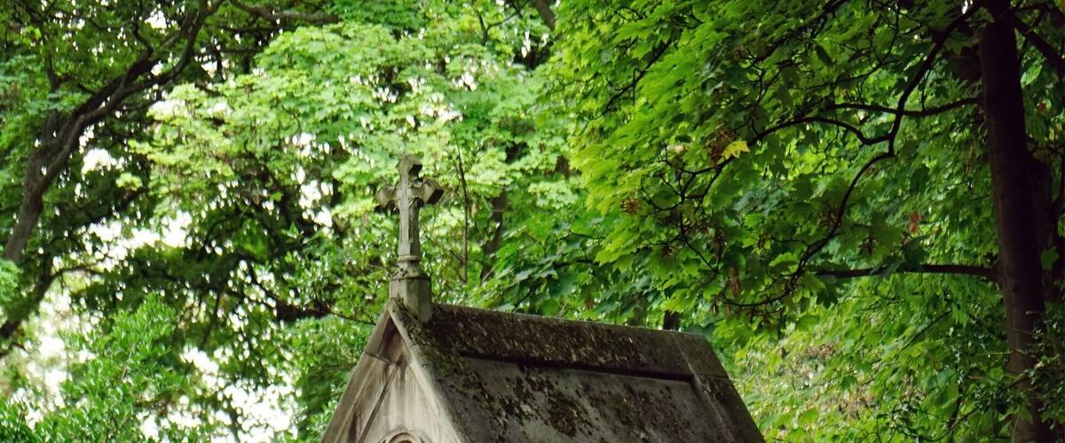 Some people might think it a bit strange to visit cemeteries on vacation but Pere-Lachaise Cemetery in Paris was the highlight of my day. Gothic graves and ancient mausoleums to admire all the while hearing the calls of crows and ravens in the background. The atmosphere is unreal.
#InStone
