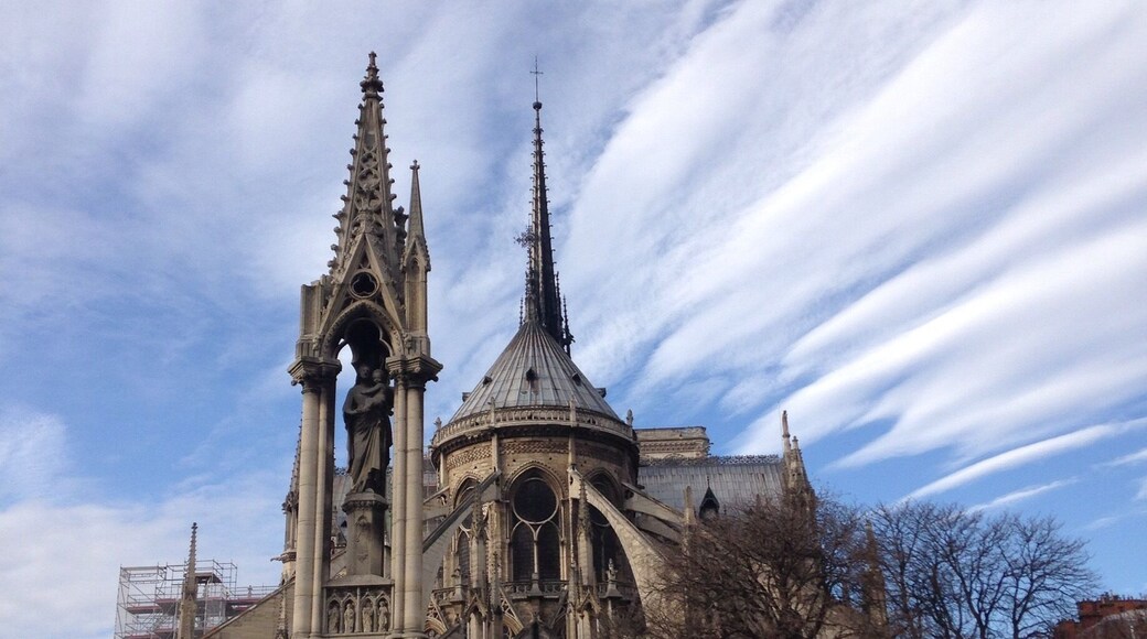 The back of Notre Dame Cathedral