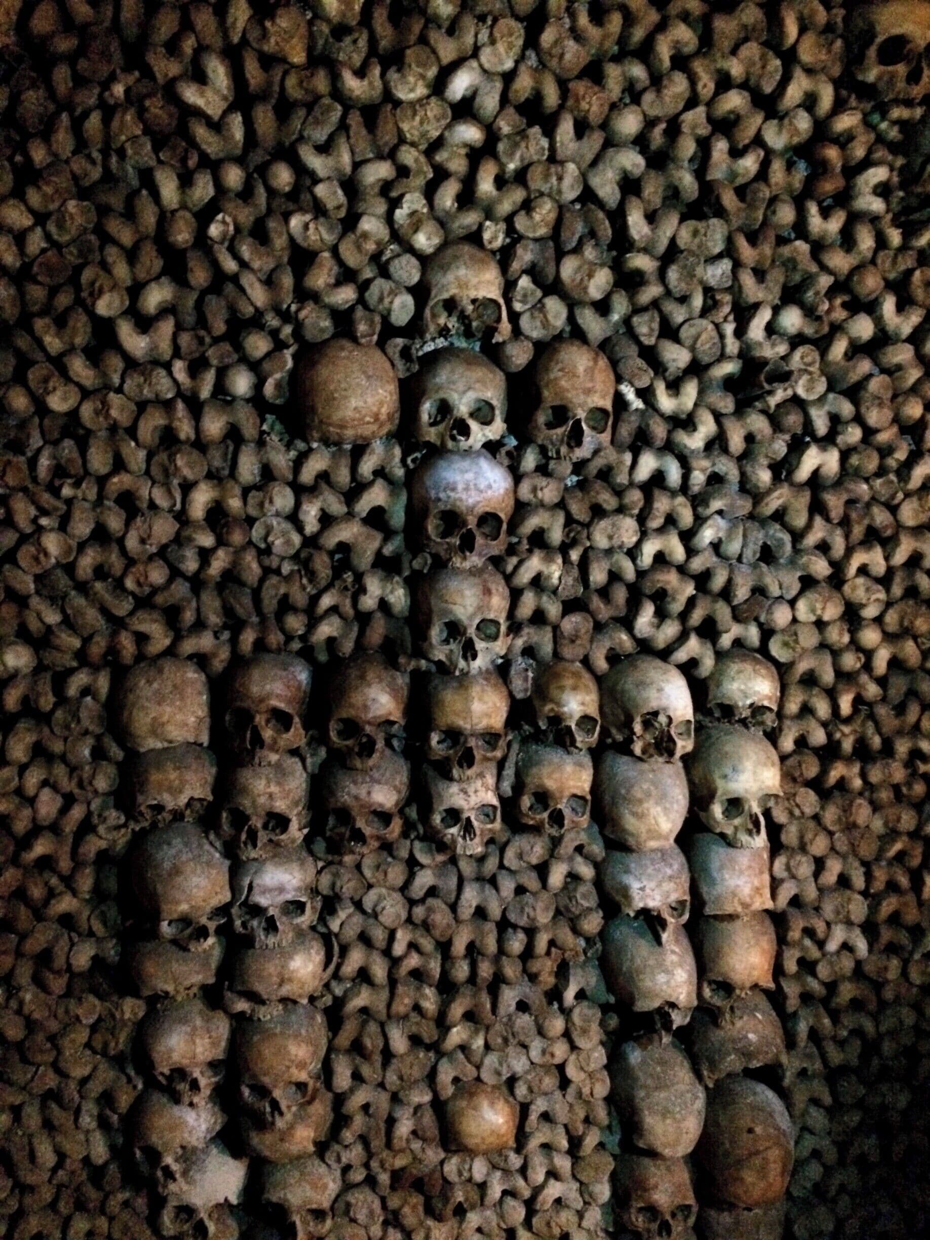 A very creepy tour of the underground paris. Be ready to wait in a very long line so get there early.