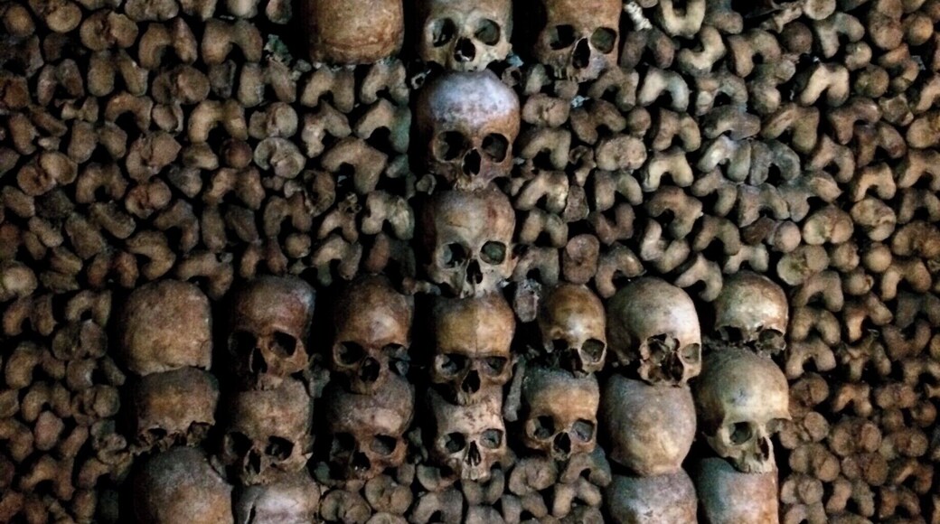 A very creepy tour of the underground paris. Be ready to wait in a very long line so get there early.