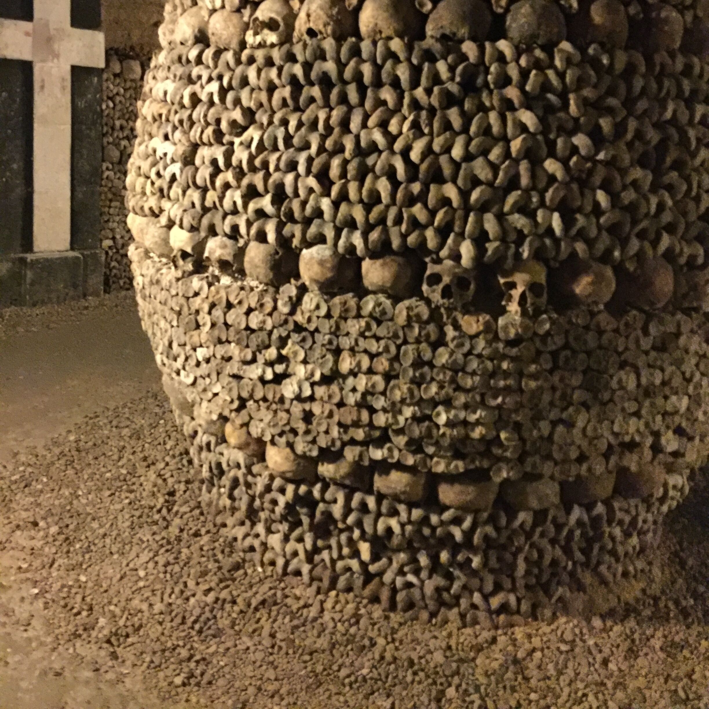 Full of bones but not scared.