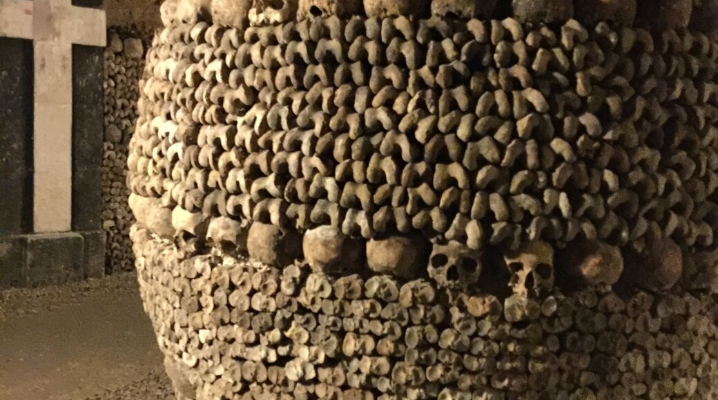 Full of bones but not scared.