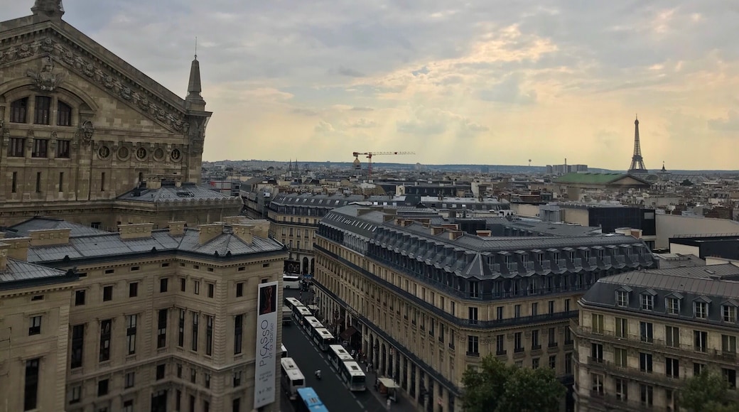 If you want a panoramic view of Paris avoiding any queue, the crowd of tourists and totally free, go to the rooftop bar at La Galerie Lafayette. That’s a good option 👌🏼 (Paris, France) 🇫🇷