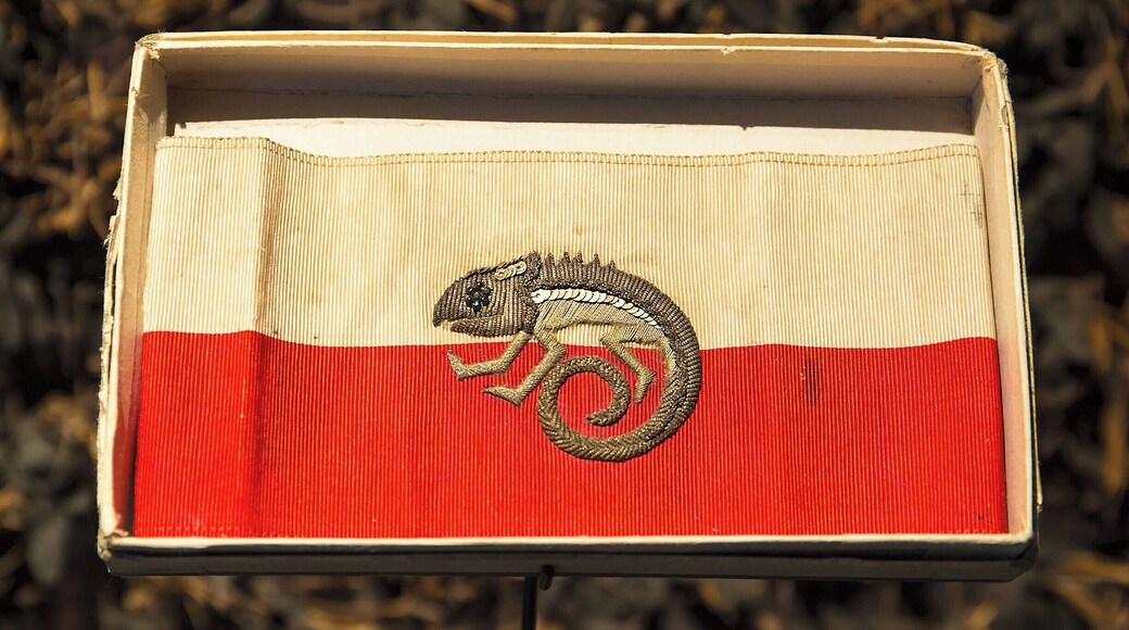 Care to guess which military unit wore this armband? The camouflage unit!
The Army Museum covers a large swatch of French history with an impressive collection of artifacts and displays. We spent most of our time within the WWII collection, but it was still overwhelming. This is not the place for an overview of the war, but instead somewhere to learn about individual battles, personalities, and equipment. Go in with a plan and time limit.