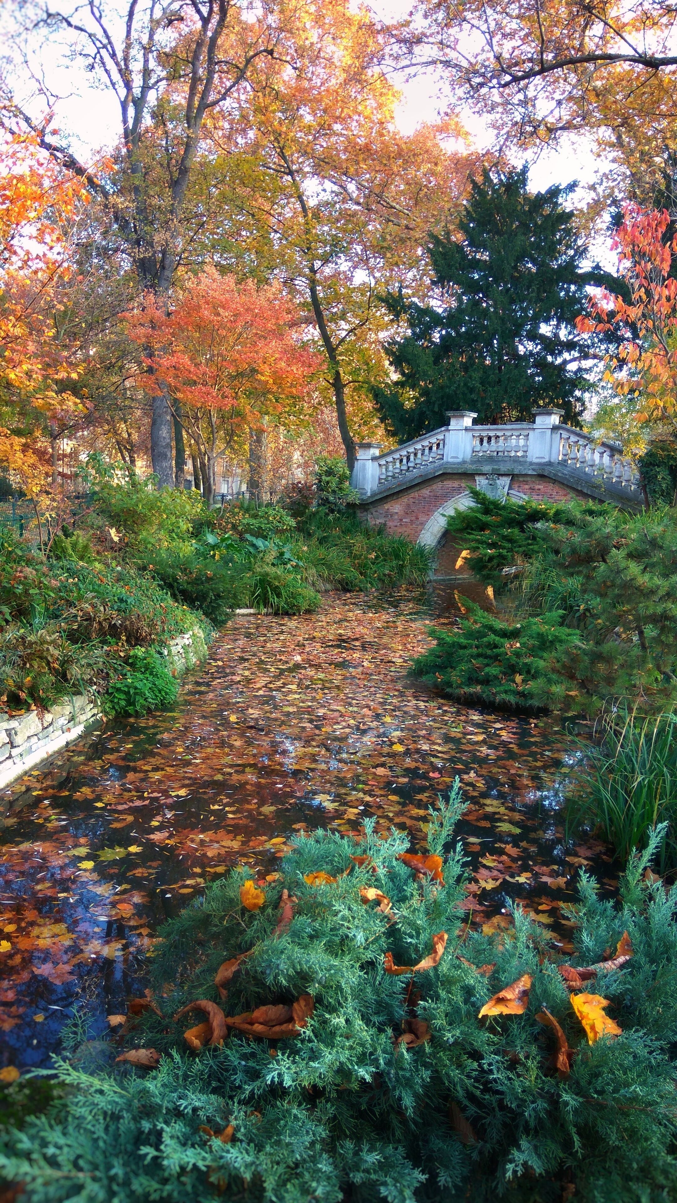 Great little park to have a take away breakfast. Lots of large old trees, and this bridge is stunning. 