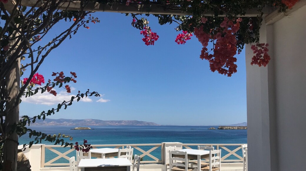 View from the terrace of the Blue Dolphin in Paros. Great Greek food and a gorgeous view!
