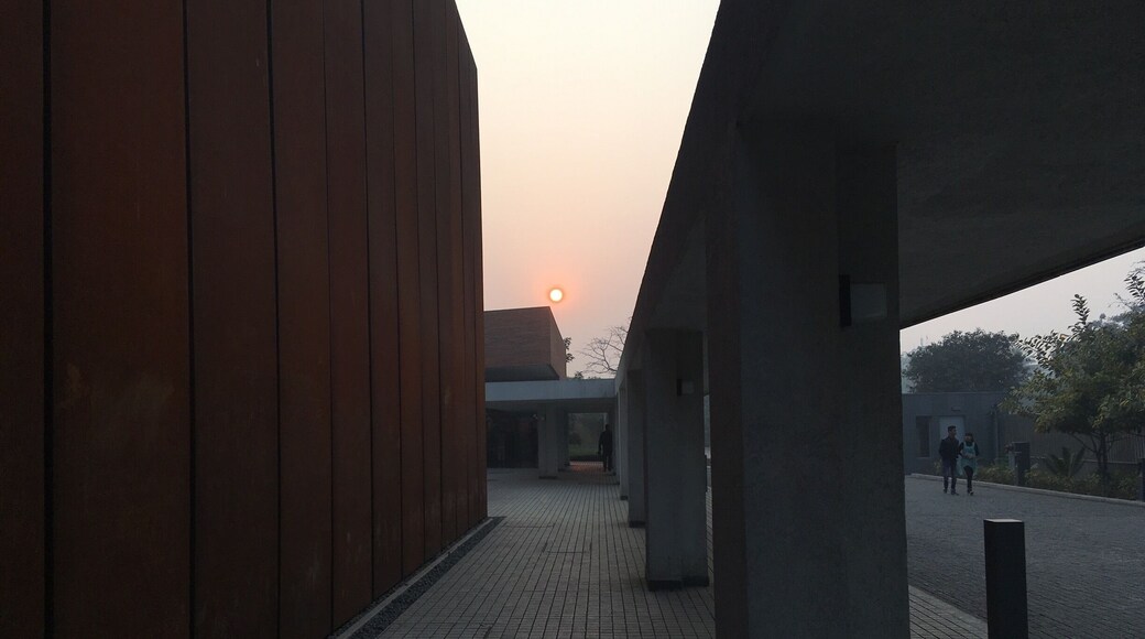 The Sun sets between the concrete world! #urbanjungle