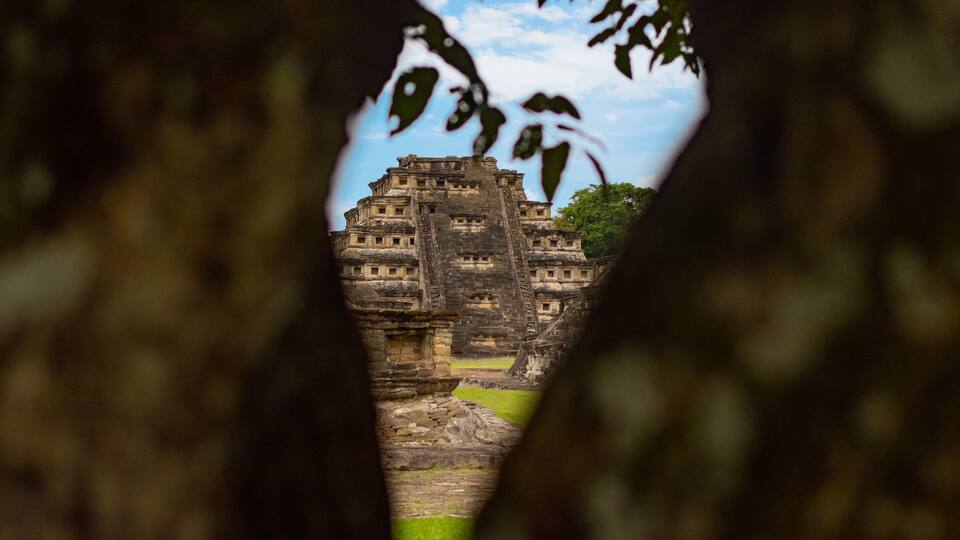An ancient stone structure viewed through a tree's canopy.
