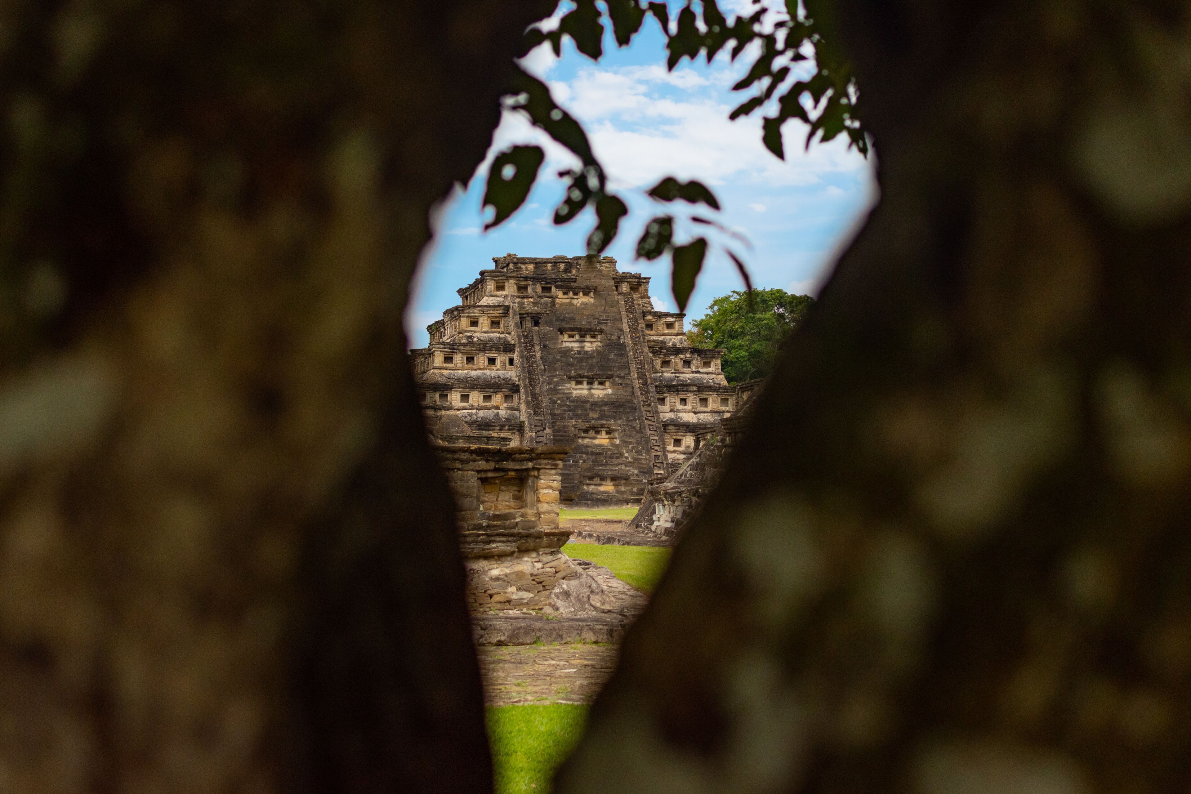 An ancient stone structure viewed through a tree's canopy.
