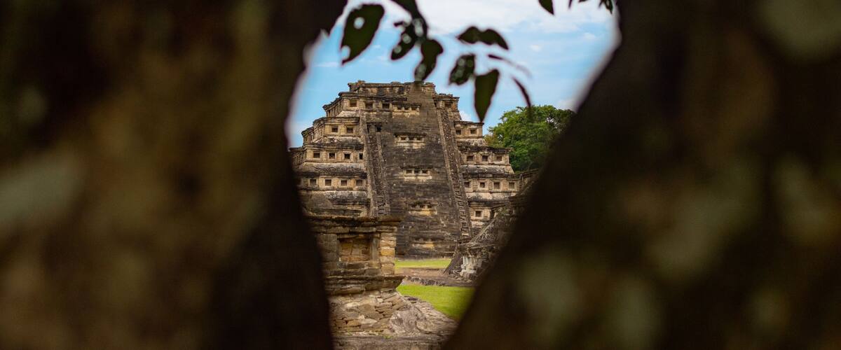 An ancient stone structure viewed through a tree's canopy.