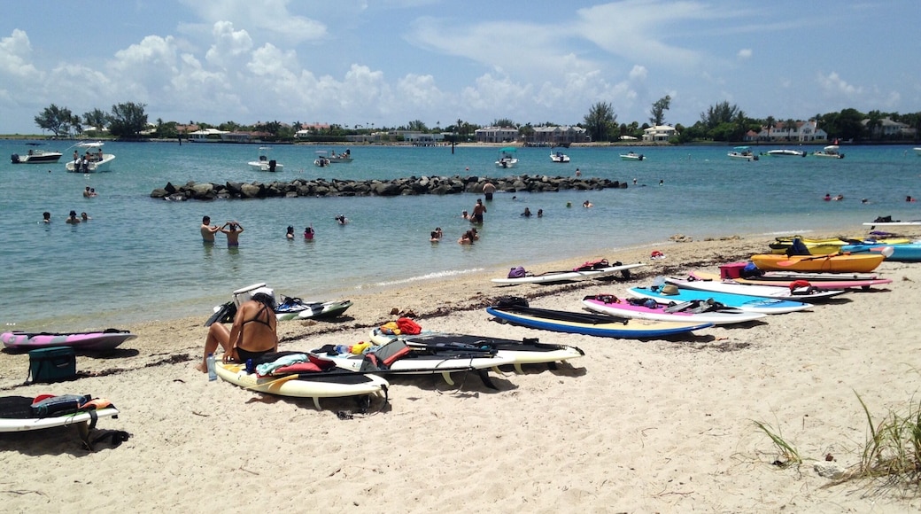 Paddle and Snorkle #waterlust